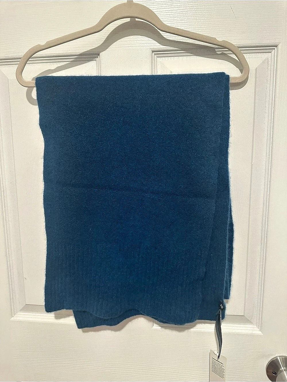 Eileen Fisher Atlan Scarf Blue Cashmere Merino Wool NWT